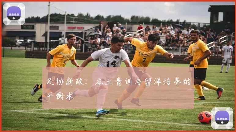 足协新政：本土青训与留洋培养的平衡术