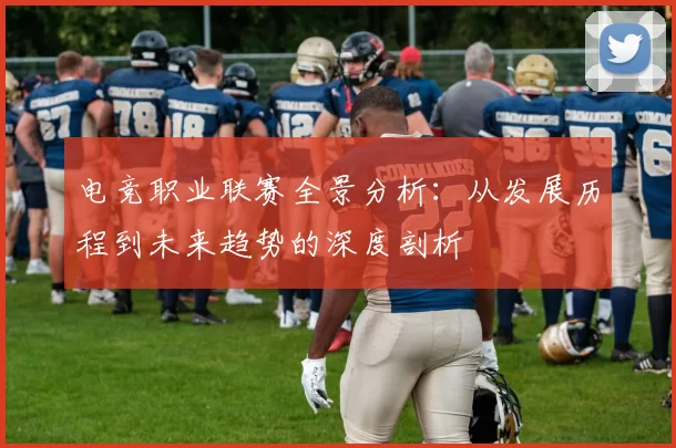 电竞职业联赛全景分析：从发展历程到未来趋势的深度剖析