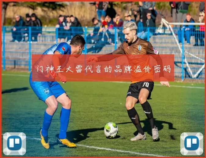 门神王大雷代言的品牌溢价密码