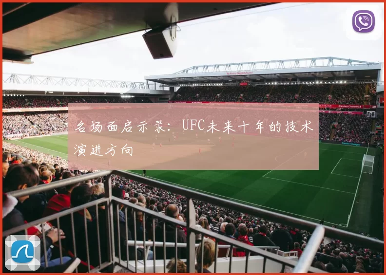 名场面启示录：UFC未来十年的技术演进方向