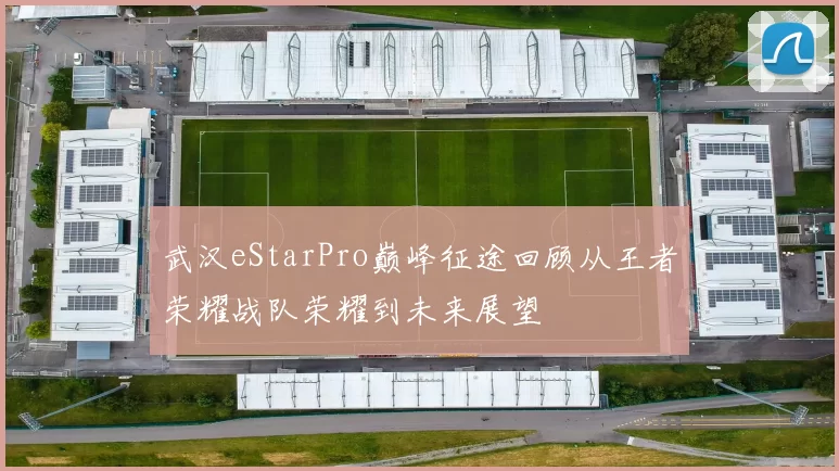 武汉eStarPro巅峰征途回顾从王者荣耀战队荣耀到未来展望