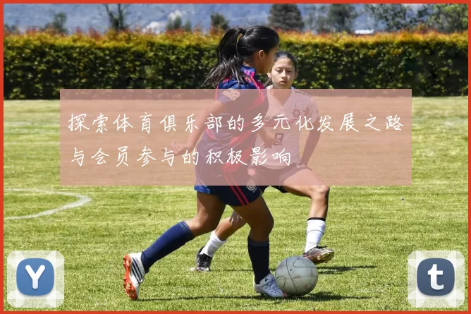 探索体育俱乐部的多元化发展之路与会员参与的积极影响
