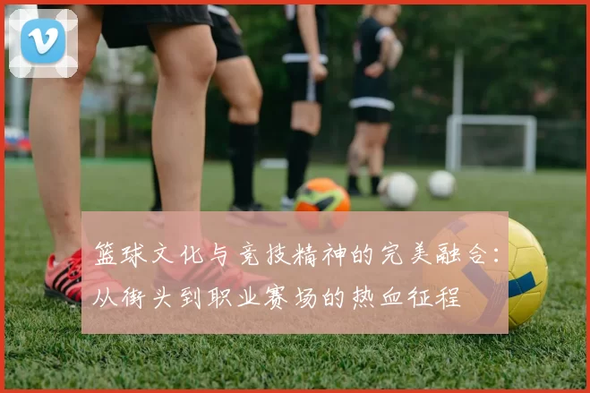 篮球文化与竞技精神的完美融合：从街头到职业赛场的热血征程