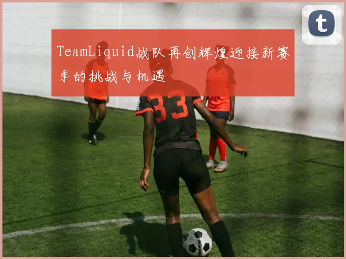 TeamLiquid战队再创辉煌迎接新赛季的挑战与机遇